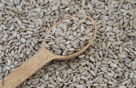 Sunflower seeds Stock Photo | Adobe Stock