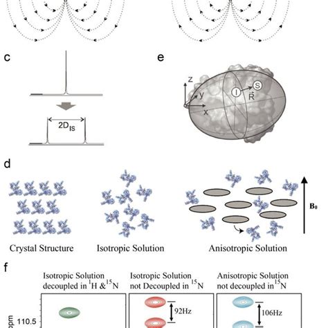 Residual Dipolar Couplings In NMR Spectroscopy Dipolar Interaction