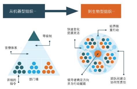 Hr丨 让传统组织向敏捷性组织靠拢。 拜托啦h