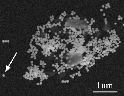 Gold Nanoparticle Imaged With 5 Nm Spatial Resolution