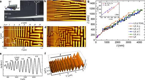 Figure MFM Images Of Helical Spin Textures In Mn PtSn A SEM Image