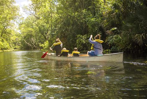 RV Arcadia Florida — Discover nature and Sunshine State souvenirs