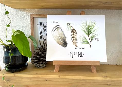 Maine State Flower State Tree State Bird Botanical Maine Art - Etsy