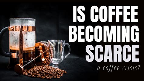 The Scarcity Of Coffee Youtube