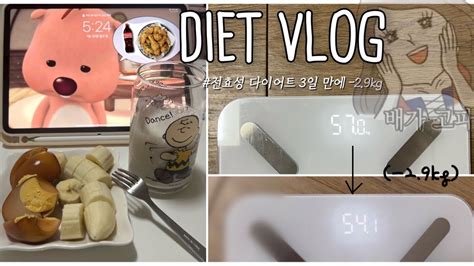 Diet Vlog🔥 전효성 다이어트 브이로그 급찐급빠 3일 동안 29kg💪 단기간 다이어트 운동 없이