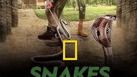 Snakes Sos Goa S Wildest Tv Mini Series Episode List Imdb