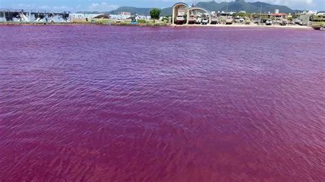 TMI Hari Ini On Twitter Laut Di Okinawa Berubah Warna Laut Di