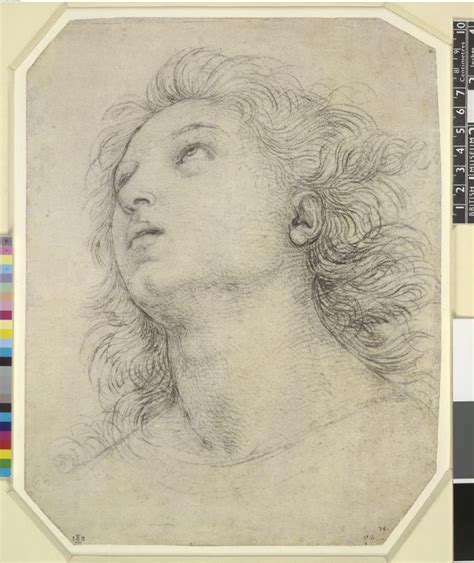 Raphael Head Of St James And Study For The Coronation Of The Virgin