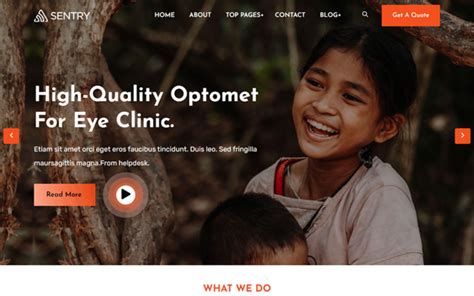 Manus NonProfit Fundraising Charity WordPress 主题