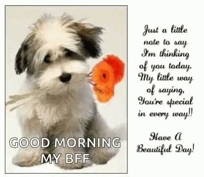 Good Morning My Bff Inella GIF - Good Morning My BFF Inella Eye Candy ...