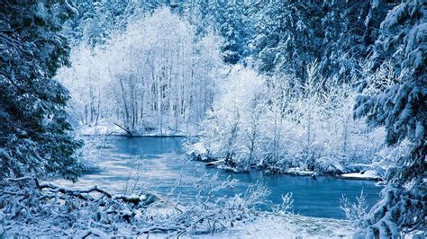 Fondos de pantalla bosque lago naturaleza reflexión nieve