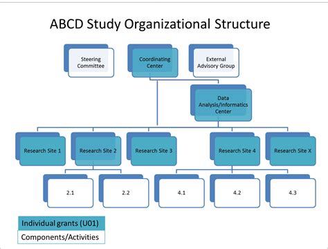 Data Center Organization Chart Cia Org Chart Unknown Facts About