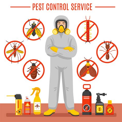 Best Pest Control Services In Bangalore Pest Control