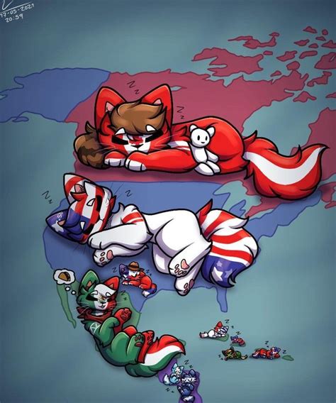 An Image Of Cartoon Cats Sleeping On The World Map With Flags And Other