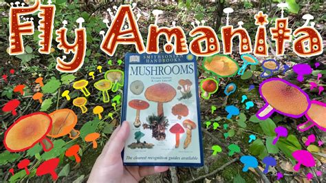 The Iconic Magic Mushroom Fly Amanita Amanita Muscaria Youtube