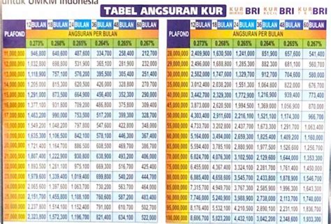 Tanggal Berapa KUR BRI 2023 Dibuka Ini Info Dari Bank Tabel Angsuran