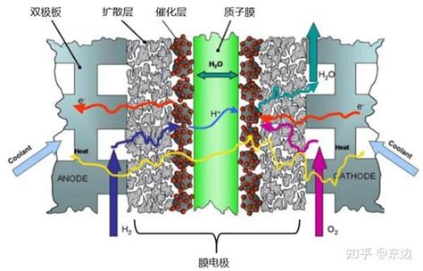 膜电极类型简介 知乎