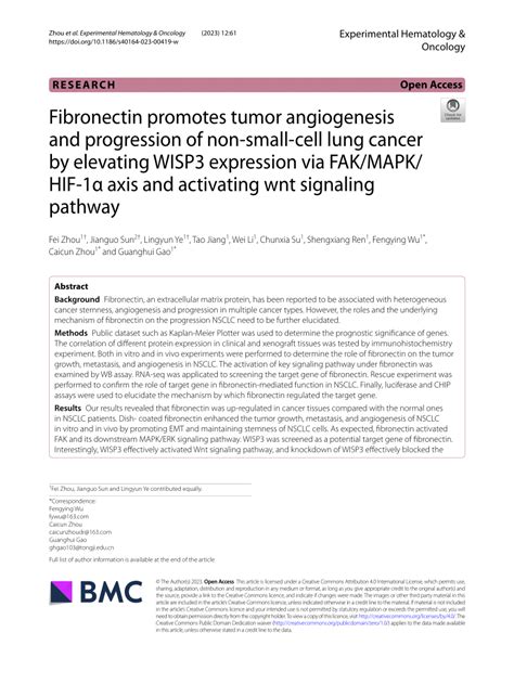 PDF Fibronectin Promotes Tumor Angiogenesis And Progression Of Non