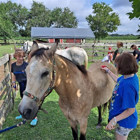 Suffolk County Farm & Education Center - Home | Facebook