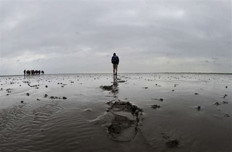 Wattenmeer Unesco Erweitert Weltnaturerbe Kultur