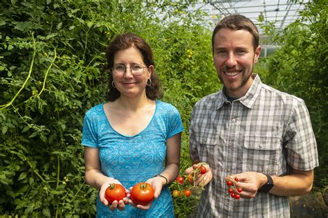 You Say Tomato, These UMass Amherst Scientists Say Evolutionary Mystery