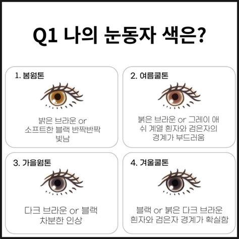 퍼스널컬러 자가진단 쿨톤 웜톤 테스트 봄 여름 가을 겨울 네이버 블로그