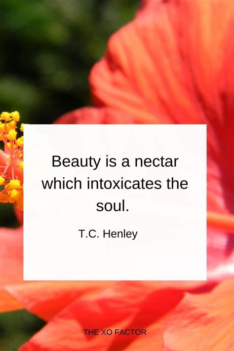 70 Inspiring Beauty Quotes - The XO Factor