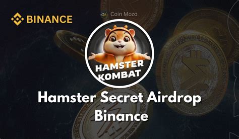 Hamster Secret Airdrop Binance Chance Win 30 000 HMSTR