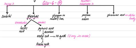 Biochemistry Flashcards | Quizlet 