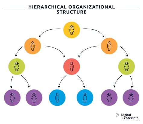 The Types Of Organizational Structures Part 1 The 48 Off