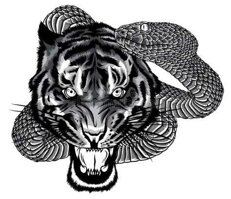 Desenho Ilustrativo Da Tatuagem De Combate a Cobras E Tigre Ilustração