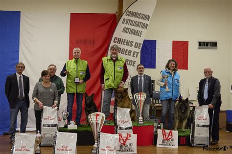 Grand Prix Scc Vieillevigne Paco Tonka Et Pyke Sur Le