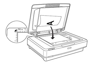 Scanning Using Epson Scan Otis College Of Art And Design