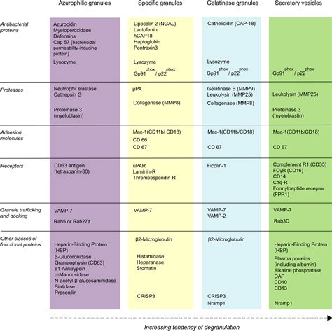 Roles Of Neutrophil Granule Proteins In Orchestrating Inflammation And