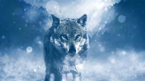 Blue Wolf Wallpapers - Wallpaper Cave