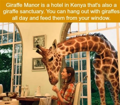 21 Crazy Animal Facts That Prove You Learn Something New Everyday | Fun facts, Wtf fun facts ...