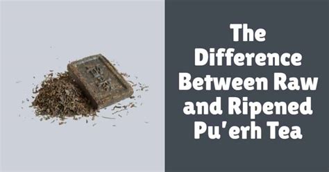 The Difference Between Raw And Ripened Puerh Tea Tea Galaxy