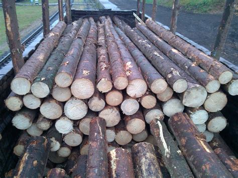 Offer Spruce Logs And Lumber Boards Timber For Sale Wood Me