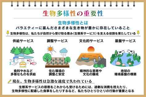 生物多様性とは？ 重要性や訪れている危機、保全に必要なことを紹介：朝日新聞sdgs Action