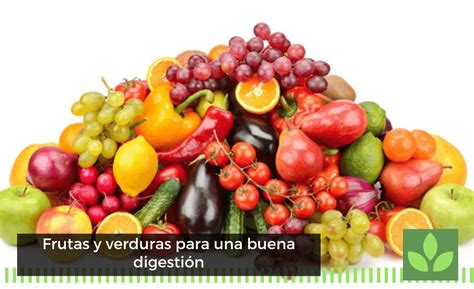 Frutas Y Verduras Para Una Buena Digesti N Blog Moisaner Gourmet