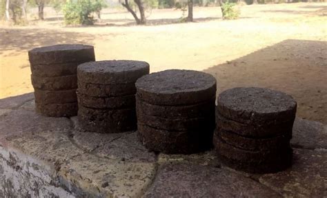 Cow Dung Cake Manure At Rs 80 Kg In Gwalior ID 2850830796830