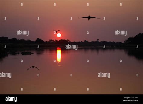 Sonnenuntergang Sabie River/ Sundown Sabie River Stock Photo - Alamy