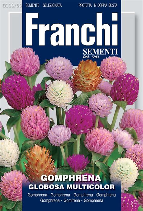 Gomphrena globosa