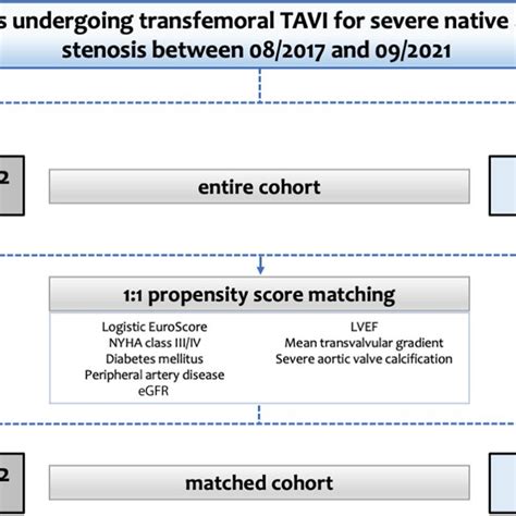 VARC-3 defined procedural complications and clinical outcomes. PVL... | Download Scientific Diagram