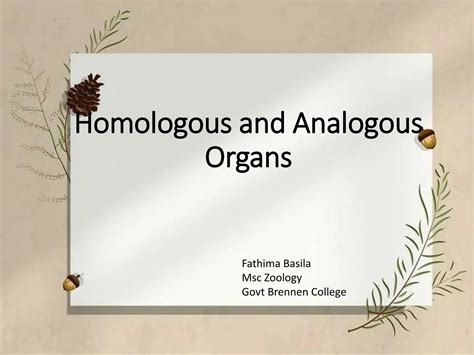 Homologous organs and analogous organs.. | PPT