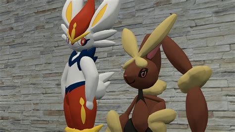 Cinderace Vs Lopunny 14 By Skulltronprime969 On Deviantart