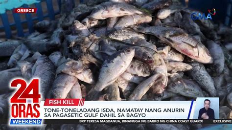 Tone Toneladang Isda Namatay Nang Anurin Sa Pagasetic Gulf Dahil Sa