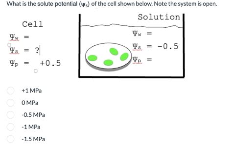 Solved What is the solute potential (ψs) of the cell shown | Chegg.com