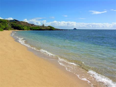 Waialua Beach Molokai Hawaii Stock Photo - Image of trees, powerful ...