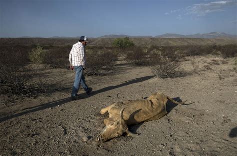 El Norte De M Xico Se Seca Contacto Occidente